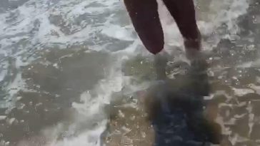 Charli D'Amelio Sexy Bikini Beach Video Leaked