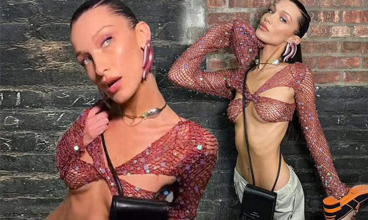 Bella Hadid Displays Her Sexy Tits (9 Photos)