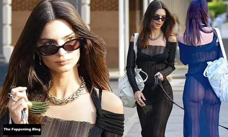 Emily Ratajkowski Bares It All in a See-Through Dress While Out Walking Her Dog in New York (33 Photos)