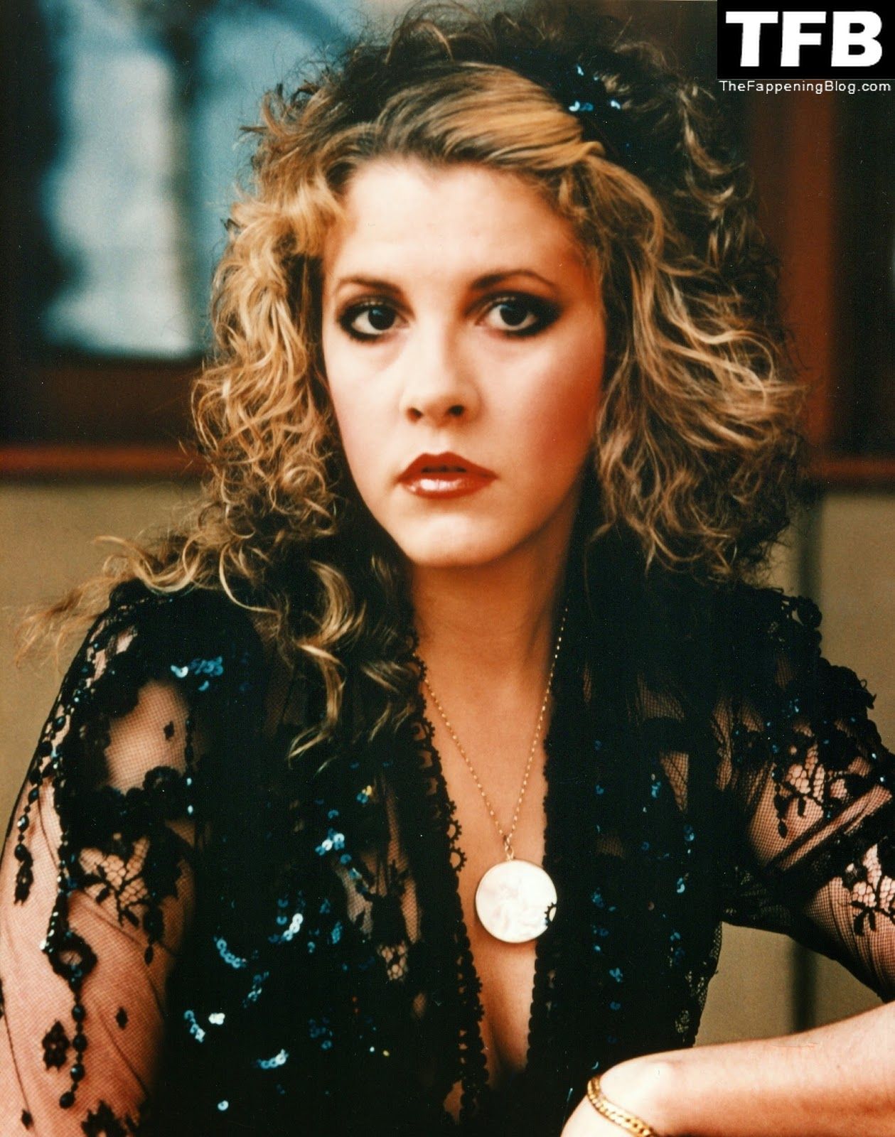 Stevie Nicks Sexy (10 Photos)