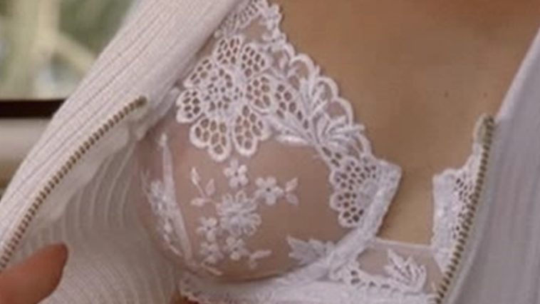 Teri Hatcher Nude Boobs In Heavens Prisoners Movie - FREE VIDEO