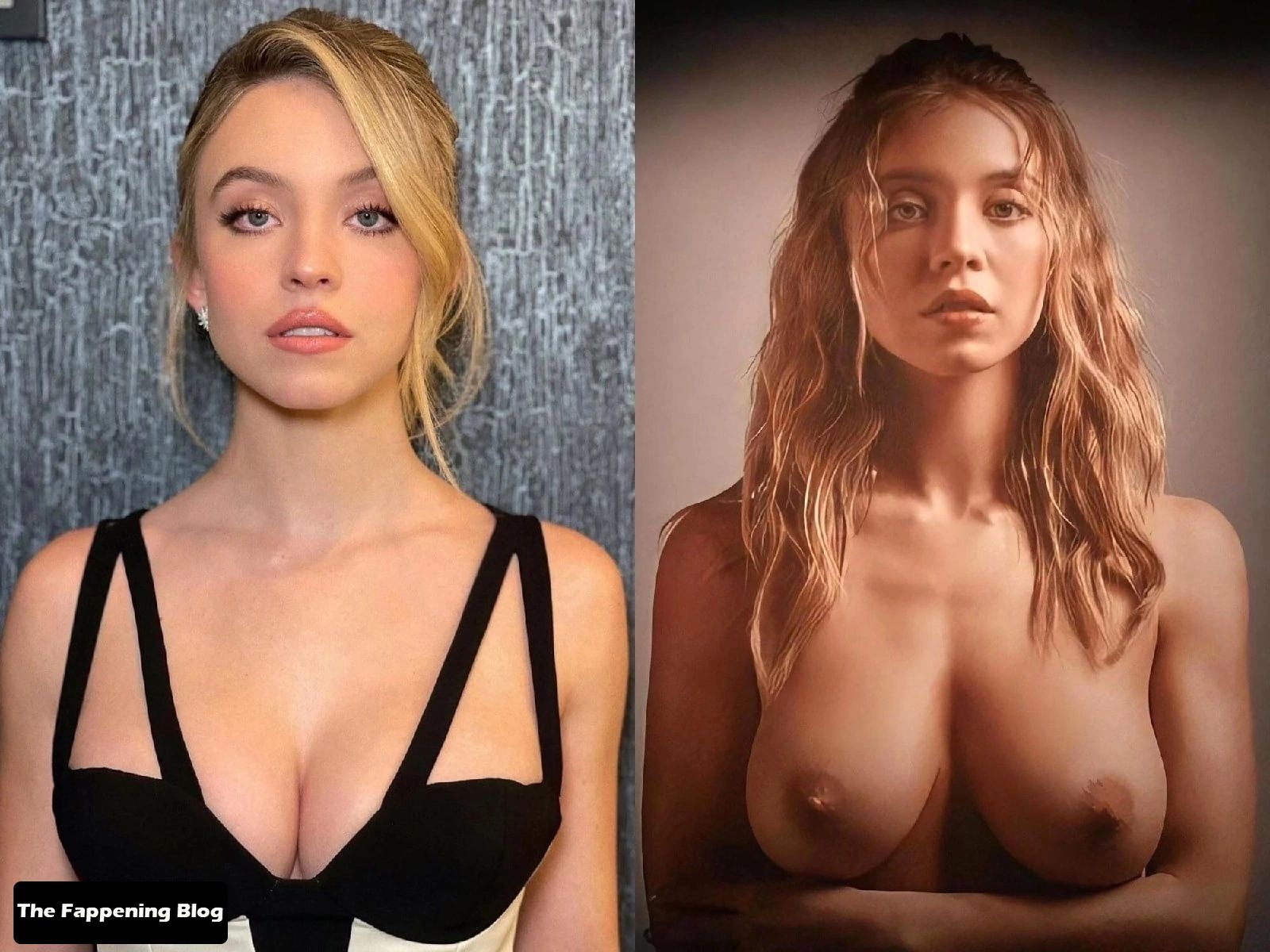 Sydney Sweeney Sexy & Topless (1 Collage Photo)